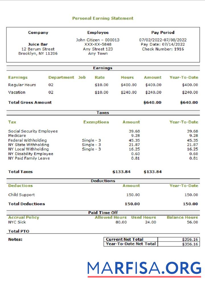 Realistic USA personal earning statement real example